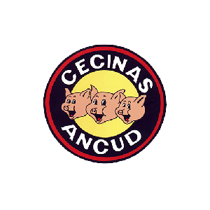300 cuadrado - Cecinas Ancud